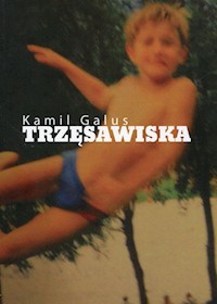 Trzęsawiska - Galus Kamil - książka