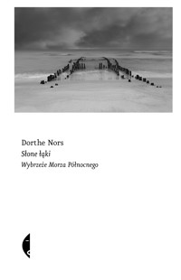 Słone łąki. Wybrzeże Morza Północnego - Dorthe Nors - ebook