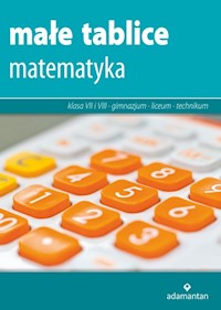 Małe tablice Matematyka - Mizerski Witold - książka
