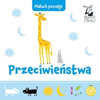 Przeciwieństwa Maluch poznaje -  - książka