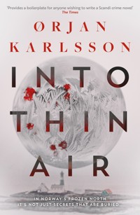 Into Thin Air - Ørjan Karlsson - ebook