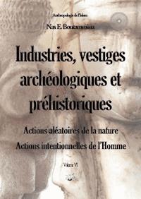 Industries, vestiges archéologiques et préhistoriques - Action aléatoire de la nature & Action intentionnelle de l’Homme - Volume VI - Nas E. Boutammina - ebook