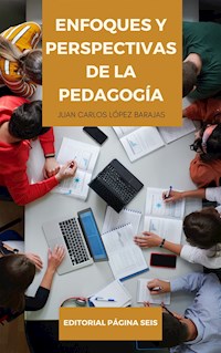 Enfoque y perspectivas de la pedagogía - Juan Carlos López Barajas - ebook