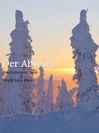 Der Absturz - Sibylle Luise Binder - ebook