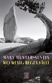 Wo wenig Regen fällt - Mary Hunter Austin - ebook