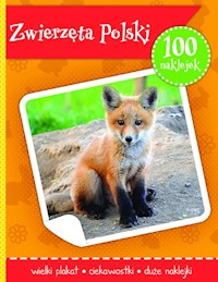 Zwierzęta Polski książeczka z plakatem i 100 naklejek -  - książka