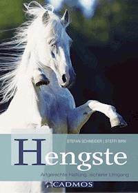 Hengste - Stefan Schneider - ebook