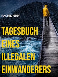 Tagesbuch eines illegalen Einwanderers - Rachid Niny - ebook