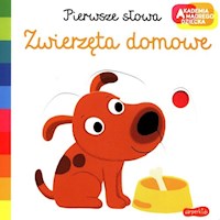 Pierwsze słowa Zwierzęta domowe -  - książka