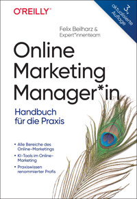 Online Marketing Manager*in - Beilharz Felix - ebook