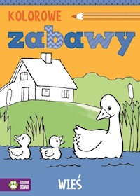 Kolorowe zabawy Wieś - - książka