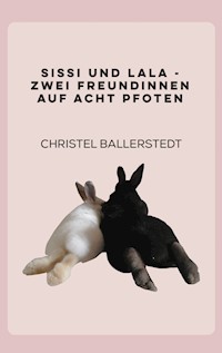Sissi und Lala - Christel Ballerstedt - ebook