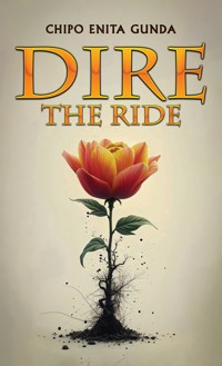 Dire: The Ride - Chipo Enita Gunda - ebook