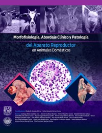 Morfofisiología, abordaje clínico y patología del aparato reproductor en animales domésticos - Elizabeth Morales Salinas - ebook