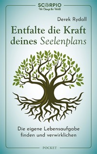 Entfalte die Kraft deines Seelenplans - Derek Rydall - ebook