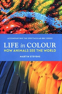 Life in Colour - Stevens Martin - książka