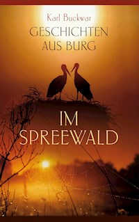 Geschichten aus Burg im Spreewald - Karl Buckwar - ebook