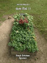 Gott oder das verdammte Gewissen, Teil 1, (Reihe: Nur für Männer!), - Frank Schütze - ebook