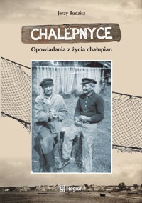 Chalepnyce. Opowiadania z życia Chałupian - Jerzy Budzisz - ebook