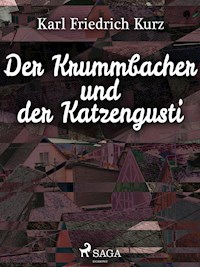 Der Krummbacher und der Katzengusti - Karl Friedrich Kurz - ebook