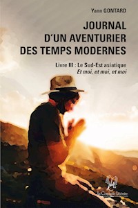 Journal d'un aventurier des temps modernes - Livre III - Yann Gontard - ebook