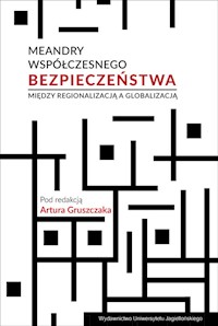 Meandry współczesnego bezpieczeństwa -  - książka