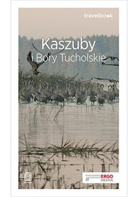 Kaszuby i Bory Tucholskie Travelbook - Flaczyńska Malwina, Flaczyński Artur - książka