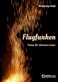 Flugfunken - Wolfgang Held - ebook