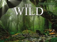 The Wild - Martin Claudia - książka