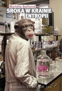 Sroka w krainie entropii - Bańkova Marketa - książka