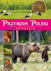 Przyroda Polski Zwierzęta - Zając Żaneta - książka