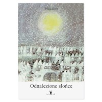 Odnalezione słońce - Zavrel Stepan - książka