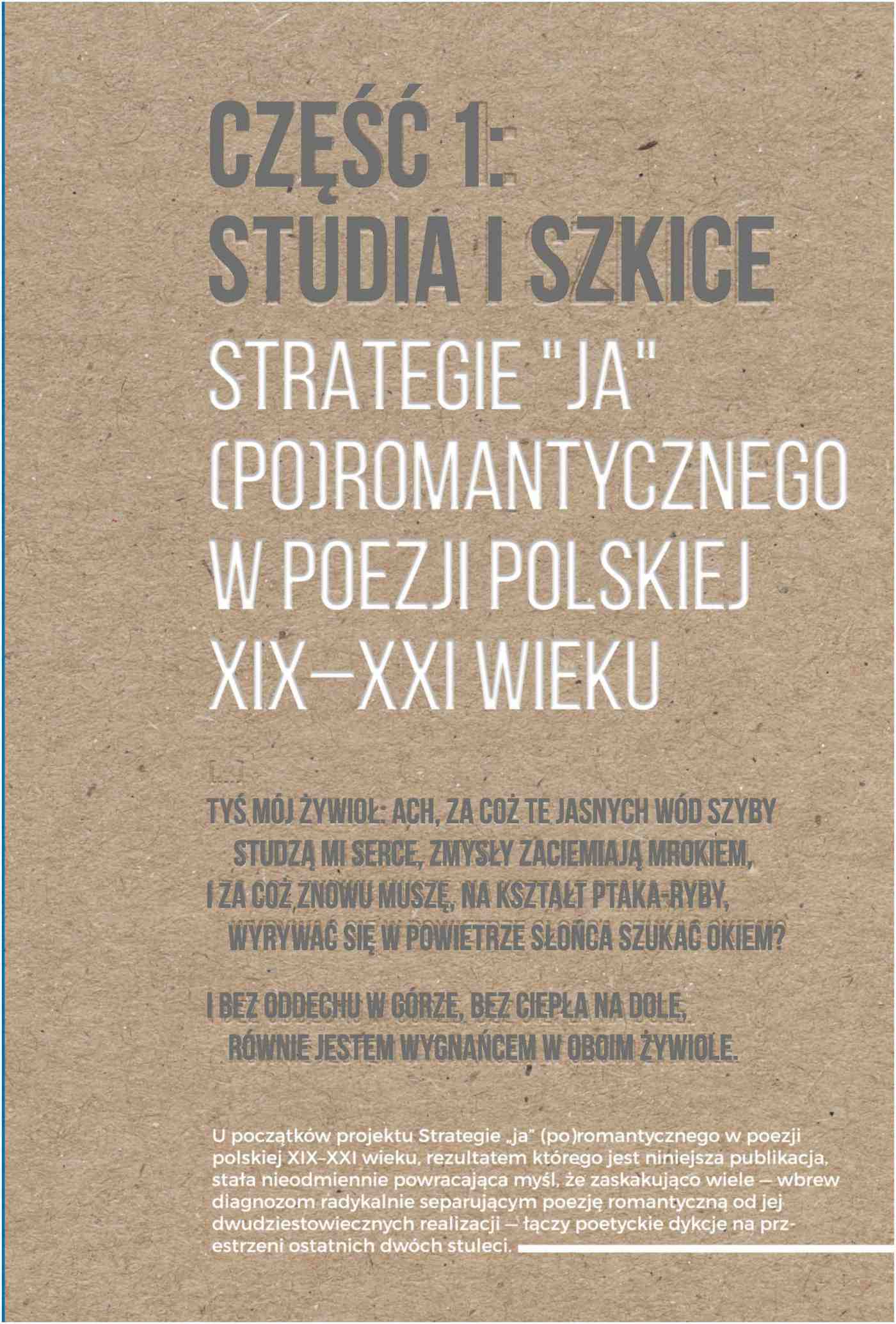 Okładka:Strategie "ja" (po)romantycznego w poezji polskiej XIX-XXI wieku. Część 1: Studia i szkice. Część 2: Rozmowy 