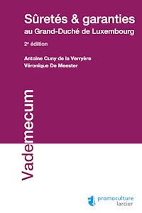 Sûretés et garanties au Grand-Duché de Luxembourg - Antoine Cuny de la Verryère - ebook