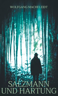 Salzmann und Hartung - Wolfgang Macheleidt - ebook