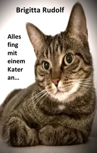 Alles fing mit einem Kater an - Brigitta Rudolf - ebook