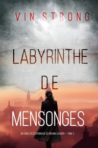 Labyrinthe de Mensonges (Un thriller d'espionnage de Brianna Dagger — Tome 3) - Vin Strong - ebook