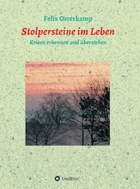 Stolpersteine im Leben - Krisen erkennen und überstehen - Felix-Daniel Osterkamp - ebook