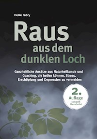 Raus aus dem dunklen Loch - Heike Fabry - ebook