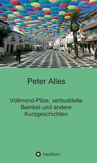 Vollmond-Pilze, verbuddelte Bembel und andere Kurzgeschichten - Peter Alles - ebook