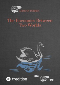 The Encounter Between Two Worlds - Aldivan Torres - ebook