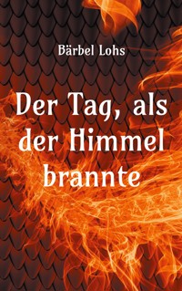 Der Tag, als der Himmel brannte - Bärbel Lohs - ebook