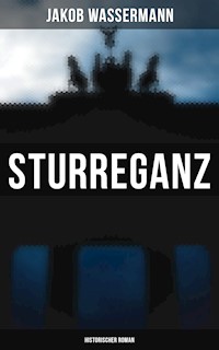 Sturreganz: Historischer Roman - Jakob Wassermann - ebook