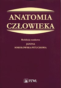 Anatomia człowieka Podręcznik dla studentów medycyny -  - książka
