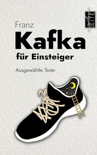 Kafka für Einsteiger - Franz Kafka - ebook