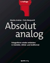Absolut analog - Monika Andrae - ebook