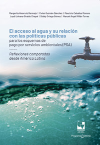 El acceso al agua y su relación con las políticas públicas para los esquemas de pago por servicios ambientales (PSA) - Manuel Ángel Millán Torres - ebook