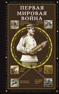 Первая мировая война - Сергей Нечаев - ebook