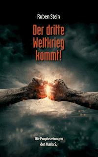 Der dritte Weltkrieg kommt! - Ruben Stein - ebook