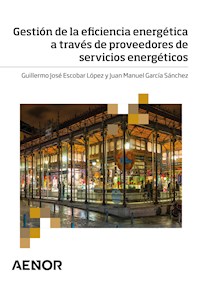 Gestión de la eficiencia energética a través de proveedores de servicios energéticos - Guillermo José Escobar López - ebook